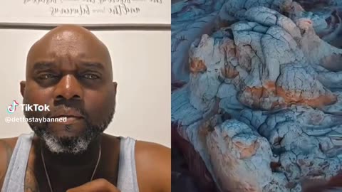 ABC ISLAND SERPENT HEAD: WE LIVE ON MASSIVE GIANTS V65