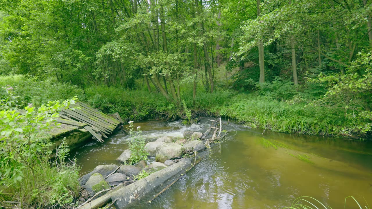 Sounds of a Wild Stream by an Old Bridge | 4H of Forest Ambience for Relaxation
