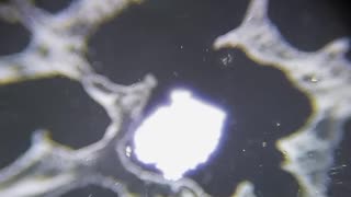 Octobre 17, 2025 - Entrevista a José Vallejos (Sánate en Chile) Radio Cristalina 96.3 FM