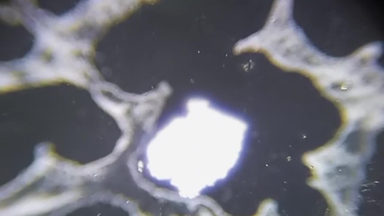 Octobre 17, 2025 - Entrevista a José Vallejos (Sánate en Chile) Radio Cristalina 96.3 FM