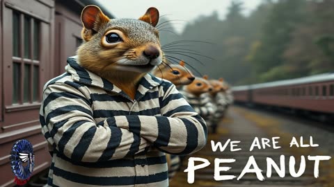 We are all Peanut