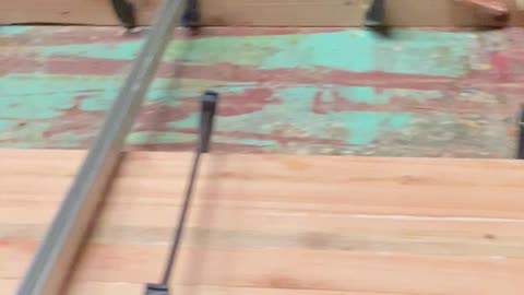 John Shinholser File 2 (date 1.16.26)