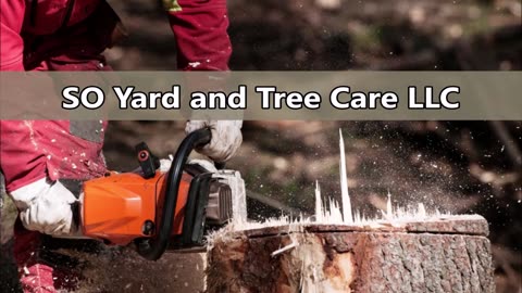 SO Yard and Tree Care LLC