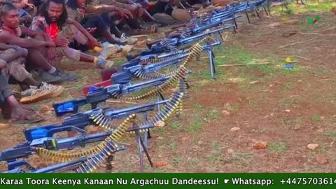 Gabaasa Tarkaanfii ONM-ABO Onkoloolessa 18-2025 itti dhiyaadhaa!