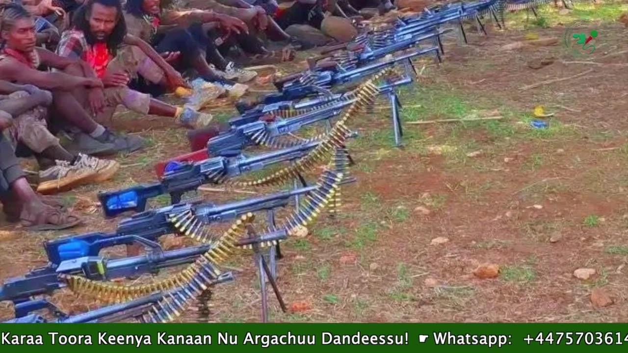 Gabaasa Tarkaanfii ONM-ABO Onkoloolessa 18-2025 itti dhiyaadhaa!