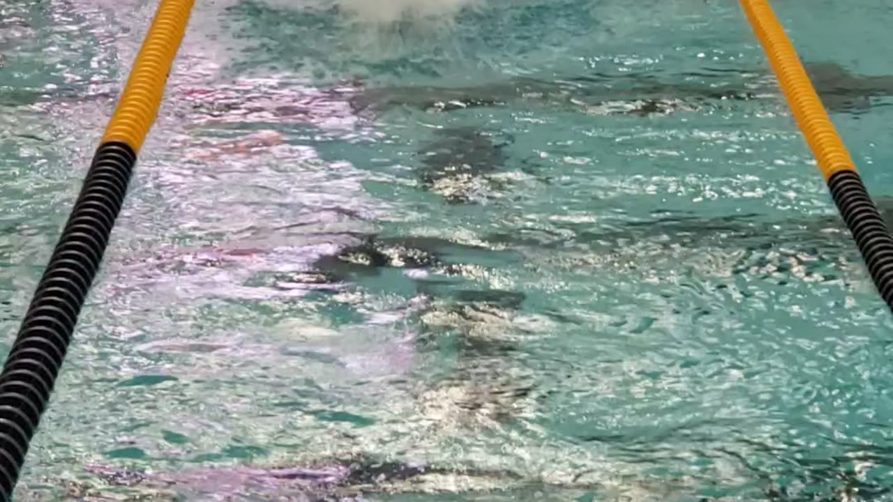 11 Oct 2025 - Fly clinic