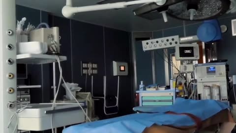 brainless human bodies grown in a laboratory from stem cells—