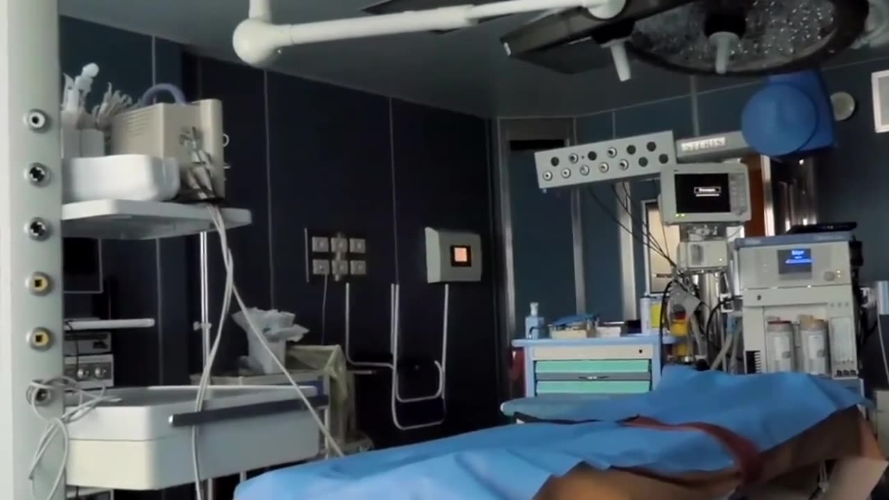 brainless human bodies grown in a laboratory from stem cells—