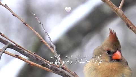 🔥 Surah Yūnus 10:47 — سورة يونس ⚡⚖️⏳#love #Quran #Viral #shorts #trending #youtubeshorts #fyp #short