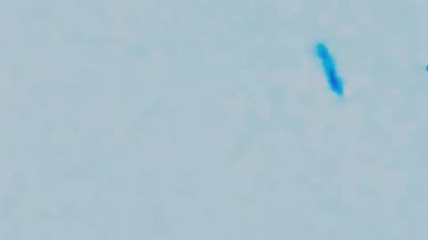 🛸🌌 Possible UAP Sighting in Minas Gerais, Brazil: What is This?! | TheTruthAbove