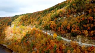 Minimal Lofi Classical Focus Mix