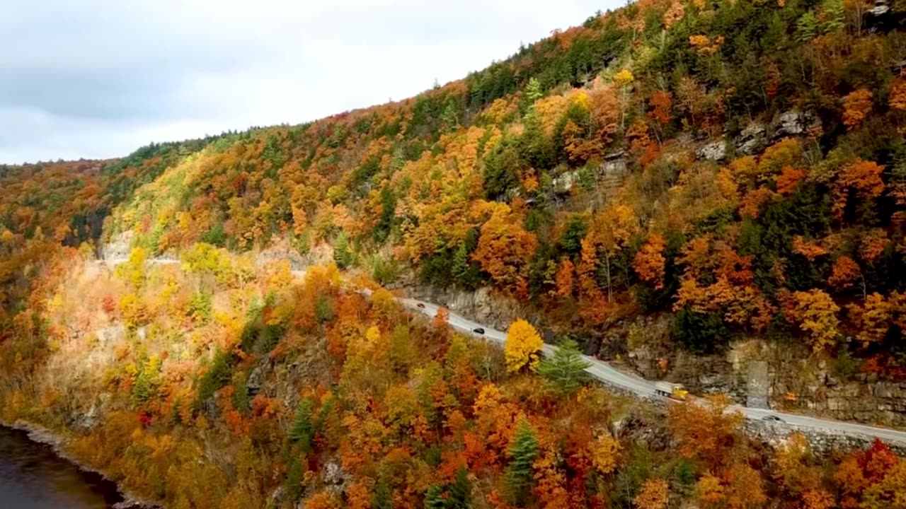 Minimal Lofi Classical Focus Mix