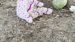 the bunnies are running away from baby kayla 🐇😂 cutest chase ever!