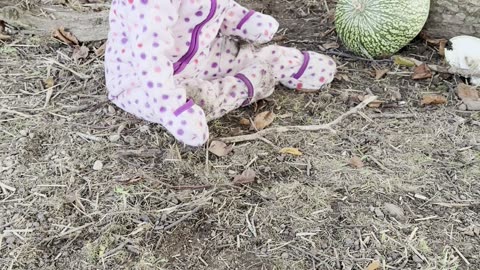 the bunnies are running away from baby kayla 🐇😂 cutest chase ever!
