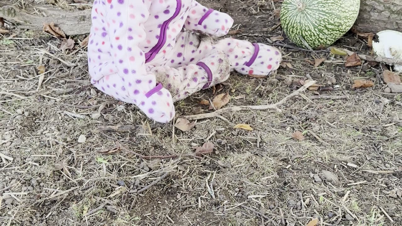 the bunnies are running away from baby kayla 🐇😂 cutest chase ever!