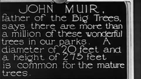 BIG TREES OF CALIFORNIA, THE - BIG TREES OF CALIFORNIA, THE - fc-fc-2416