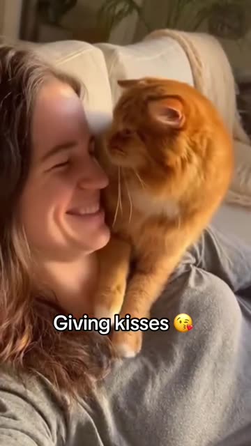 CAT REALIZES OWNER IS PREGNANT