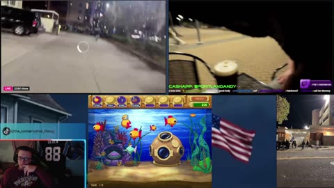 Portland protest + Insaniquarium