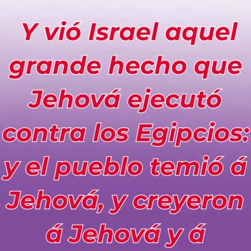 “Israel confía en el Señor y en Moisés” Éxodo 14:31.#shortvideo #shorts #youtubeshorts #ytshorts #yt