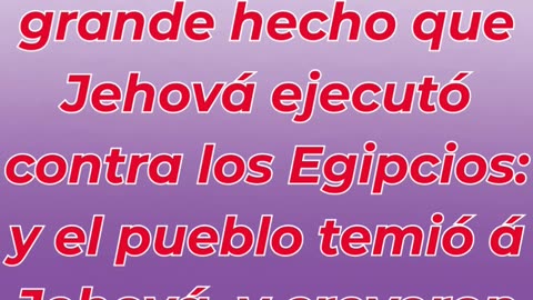 “Israel confía en el Señor y en Moisés” Éxodo 14:31.#shortvideo #shorts #youtubeshorts #ytshorts #yt