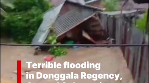 Terrible flooding in Donggala Regency, Central Sulawesi, Indonesia 🇮🇩 (11.01.2026)