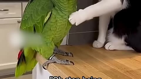 This American Parrot Wants FBI Now