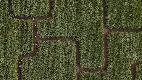 Daily Horoscope | Libra 🌟