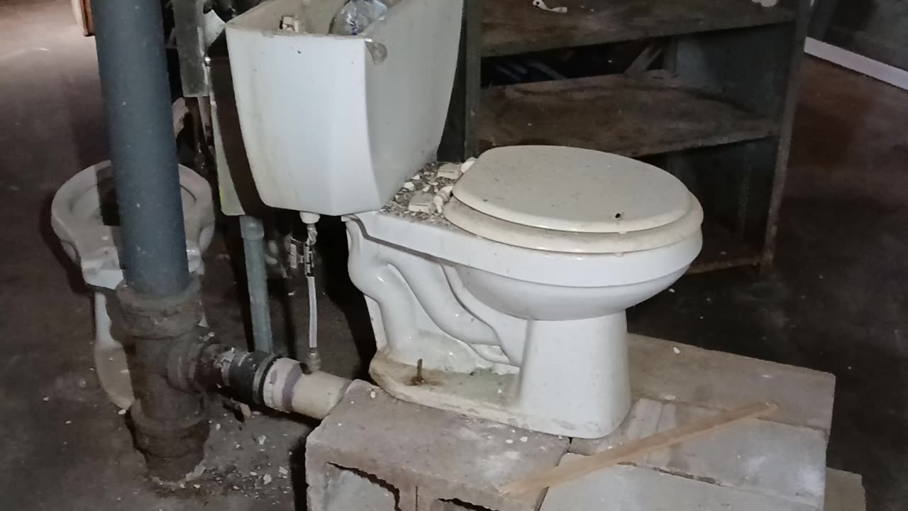 Illegal Alien Bathroom