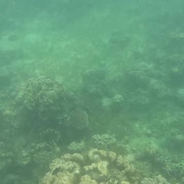 Snorkeling Morning!!