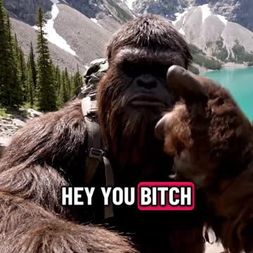 Ford truck #bigfoot #fords #pickup #truck #fyp #ford #F150