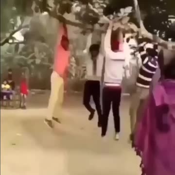 Fly and Then Fall...