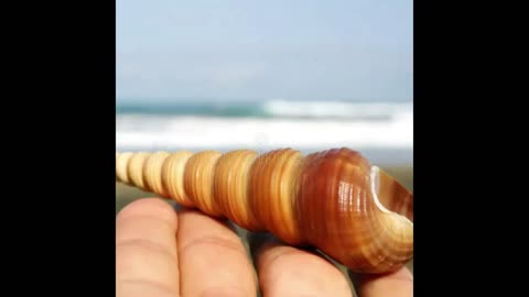 The Spiral of Healing