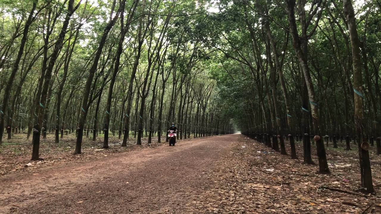 "If you tell the truth, you don't have to remember anything.