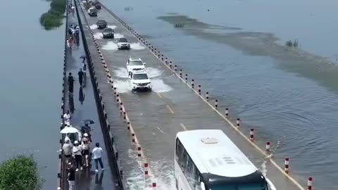 Peaceful Outdoor Views 🌳 Stunning Nature Scenes 🐦🌺 Amazing Nature Views 🍃 #Shorts