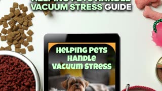Helping Pets Handle Vacuum Stress: A Complete Guide on What to Do When Pets Are Stressed by a Vacuum