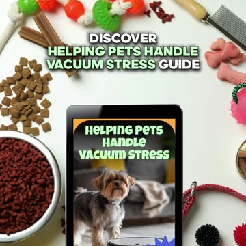 Helping Pets Handle Vacuum Stress: A Complete Guide on What to Do When Pets Are Stressed by a Vacuum