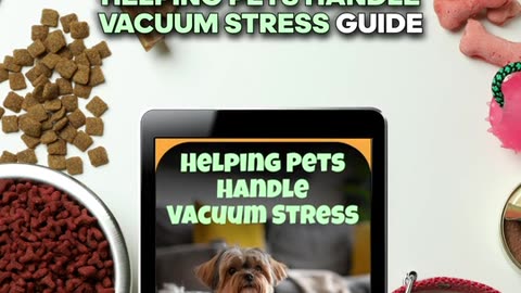 Helping Pets Handle Vacuum Stress: A Complete Guide on What to Do When Pets Are Stressed by a Vacuum