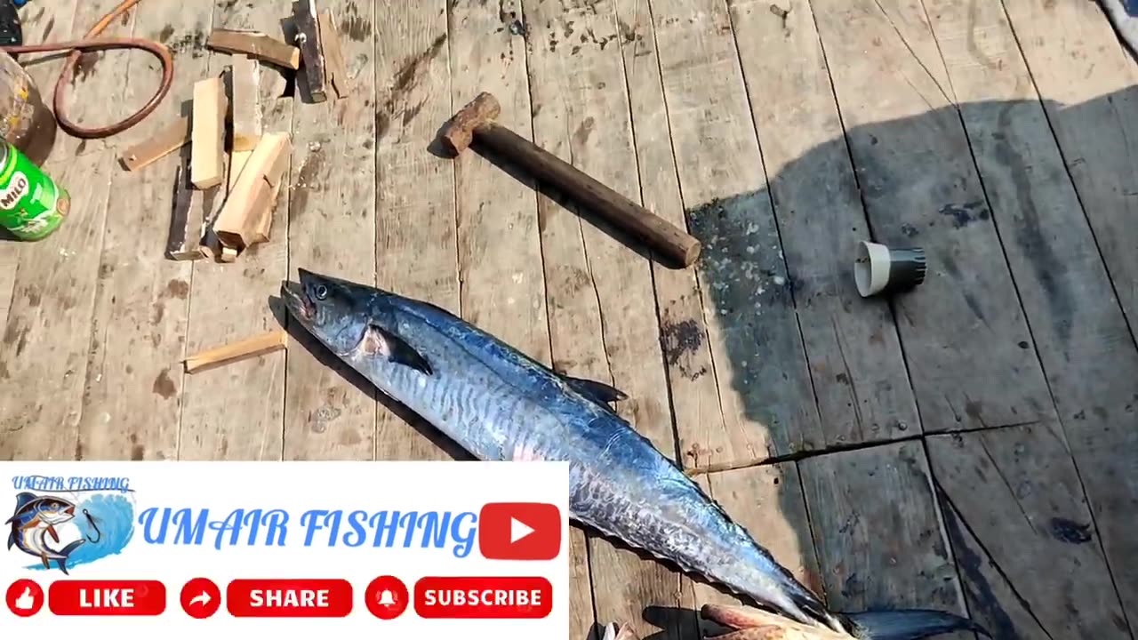 Live Fishing At Karachi Fishing ibharim haydrey to mubarak village