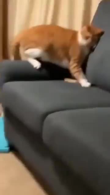 When You Lied on Resume and Still Got Job