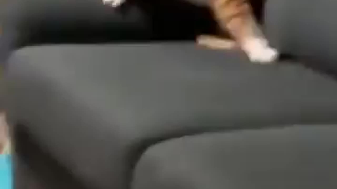 When You Lied on Resume and Still Got Job