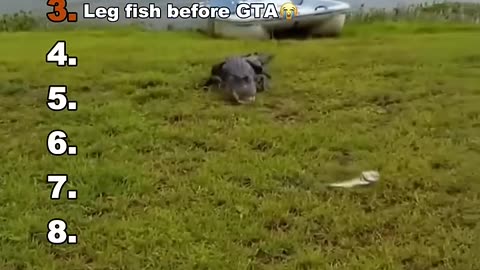 😂 "Ranking the Most Hilarious Animal Moments