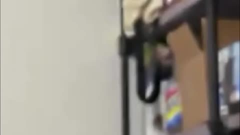 Fast Content - 48-Hour Turnaround & Audience Engagement