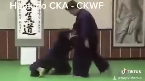 Hapkido