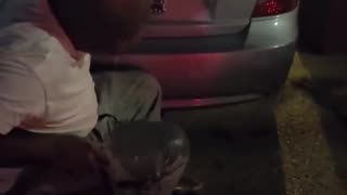 Who Hasn't Been Here