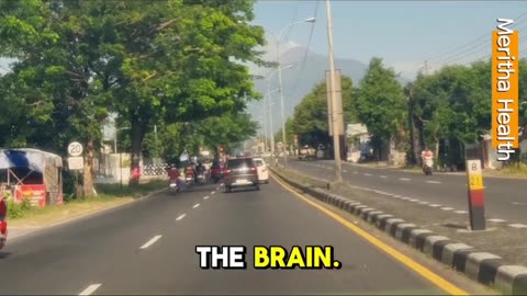 Between City And Nature