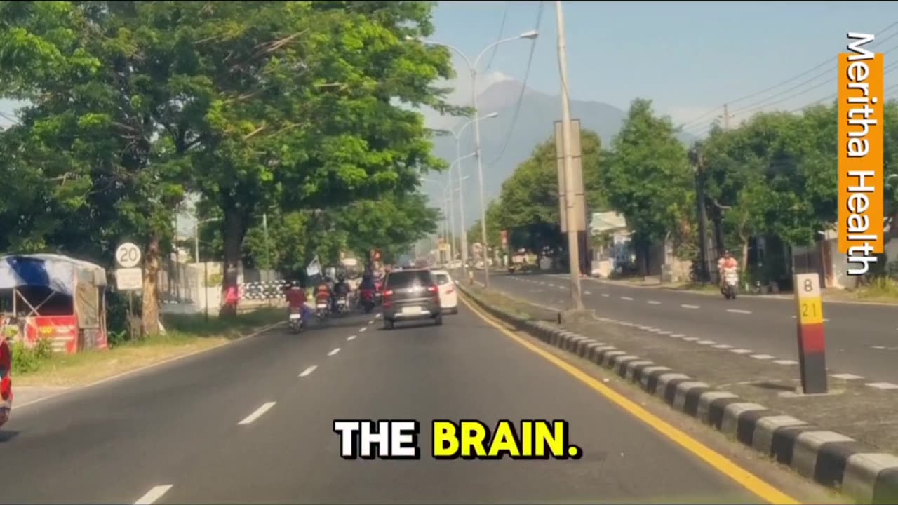 Between City And Nature