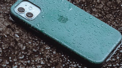 Spot Small Water Leaks Before They Become Big Problems!