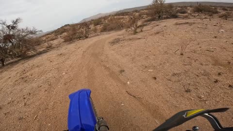 Wildcat OHV Arizona single track