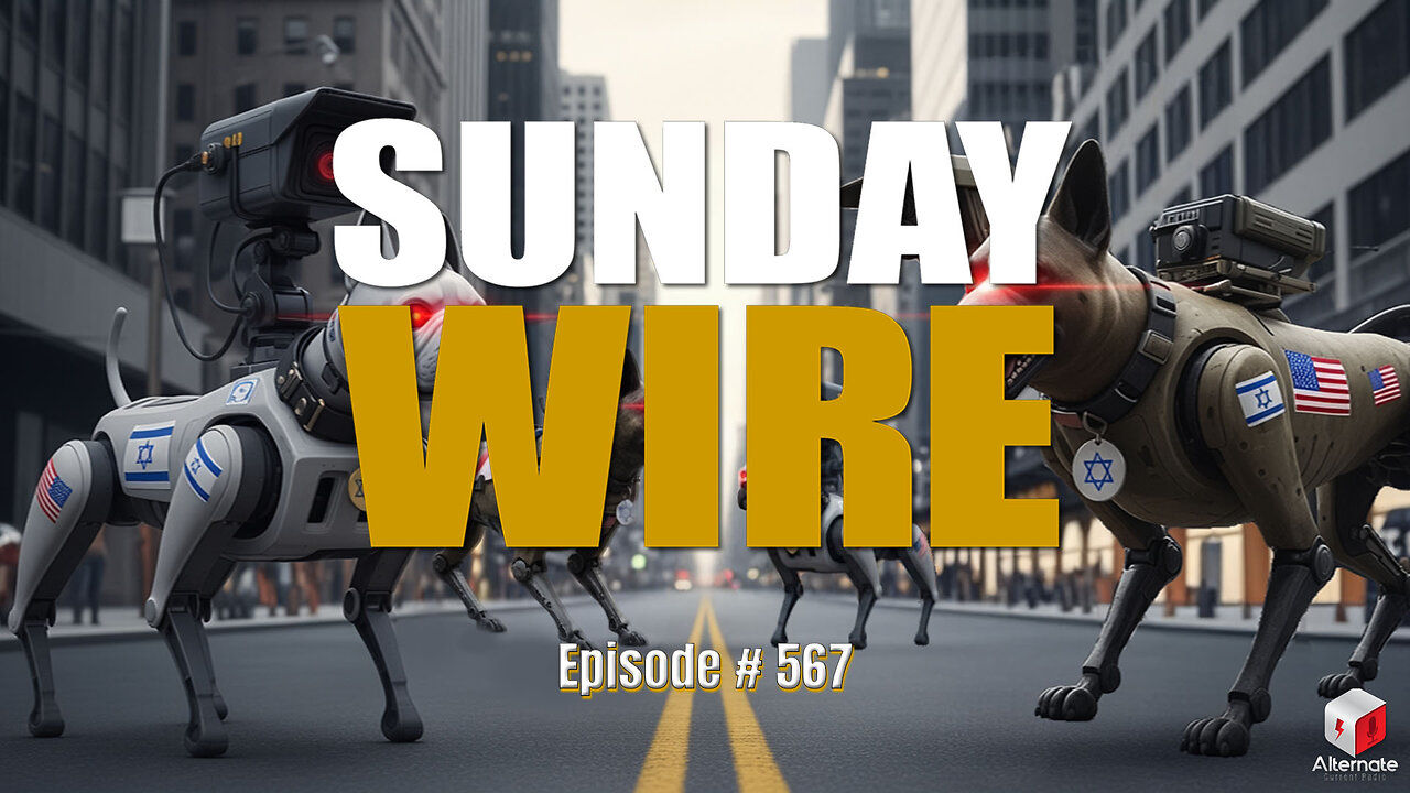 SUNDAY WIRE EP #567 - The Watchdogs of War