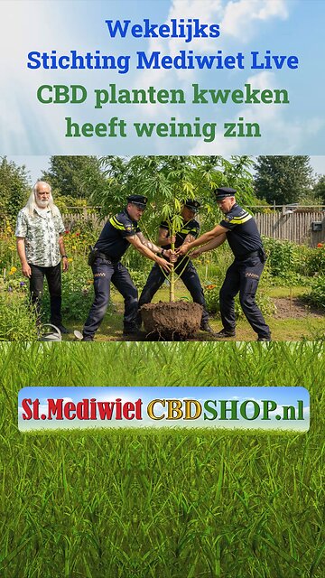CBD planten kweken heeft weinig zin